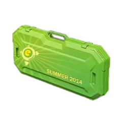 eSports Cases