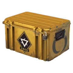 Yellow Cases